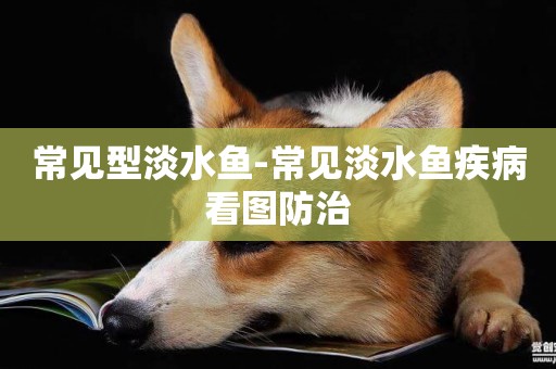 常見型淡水魚-常見淡水魚疾病看圖防治