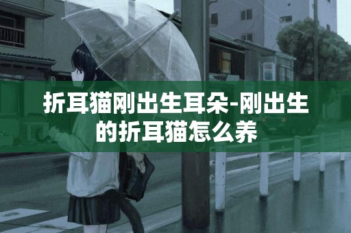 折耳貓剛出生耳朵-剛出生的折耳貓怎么養