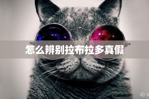 怎么辨別拉布拉多真假
