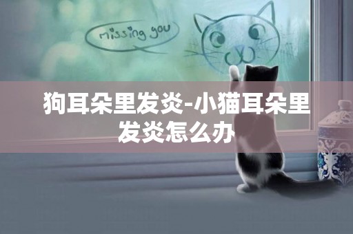 狗耳朵里發炎-小貓耳朵里發炎怎么辦