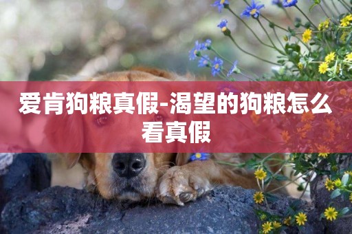 愛肯狗糧真假-渴望的狗糧怎么看真假