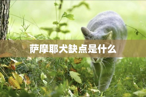 薩摩耶犬缺點是什么