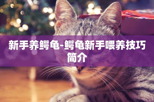 新手養鱷龜-鱷龜新手喂養技巧簡介