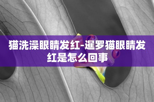 貓洗澡眼睛發紅-暹羅貓眼睛發紅是怎么回事