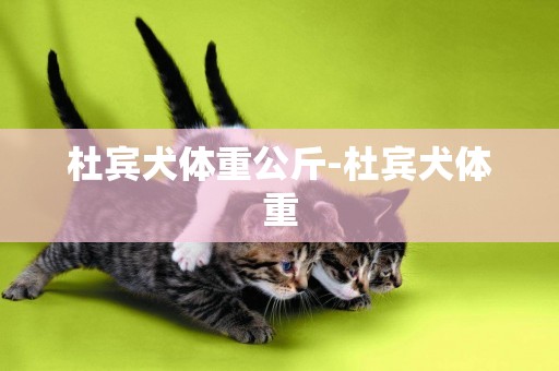 杜賓犬體重公斤-杜賓犬體重