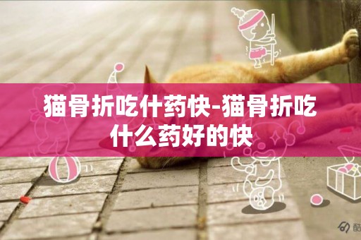 貓骨折吃什藥快-貓骨折吃什么藥好的快
