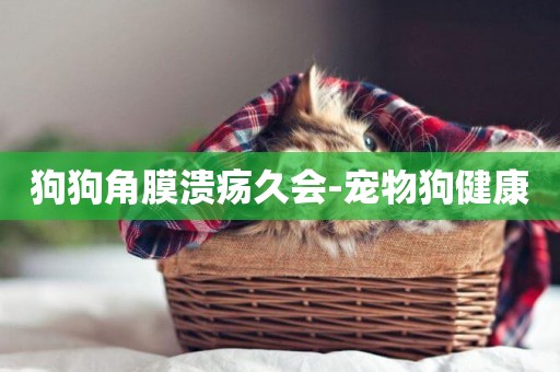 狗狗角膜潰瘍久會-寵物狗健康