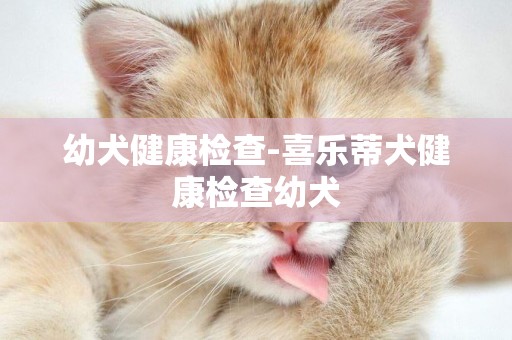 幼犬健康檢查-喜樂蒂犬健康檢查幼犬