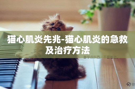 貓心肌炎先兆-貓心肌炎的急救及治療方法