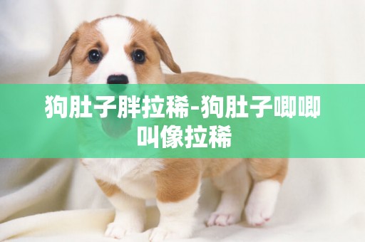狗肚子胖拉稀-狗肚子唧唧叫像拉稀