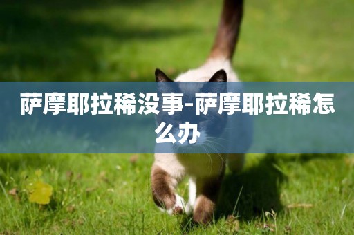 薩摩耶拉稀沒事-薩摩耶拉稀怎么辦