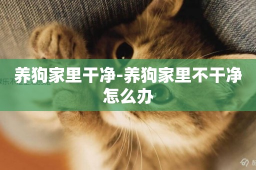 養狗家里干凈-養狗家里不干凈怎么辦