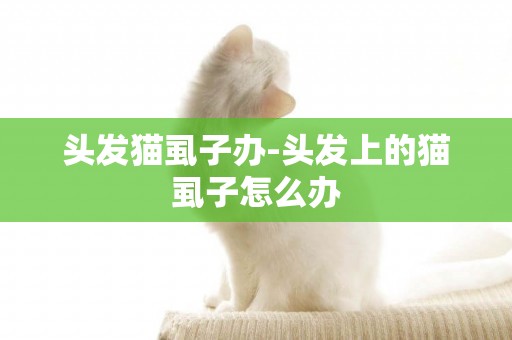 頭發貓虱子辦-頭發上的貓虱子怎么辦