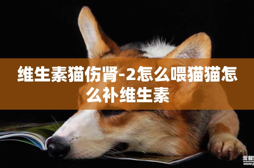 維生素貓傷腎-2怎么喂貓貓怎么補維生素