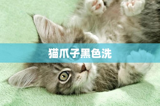 貓爪子黑色洗