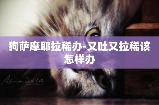 狗薩摩耶拉稀辦-又吐又拉稀該怎樣辦