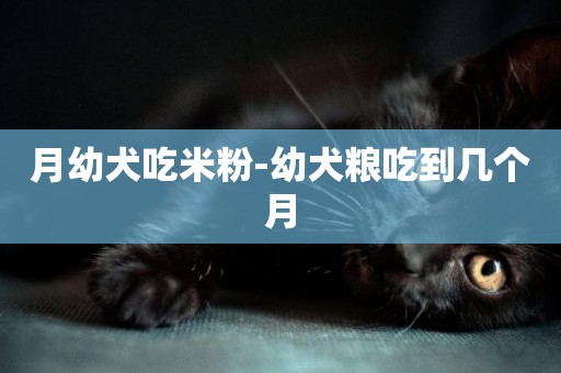 月幼犬吃米粉-幼犬糧吃到幾個月