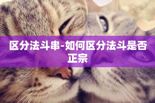 區分法斗串-如何區分法斗是否正宗