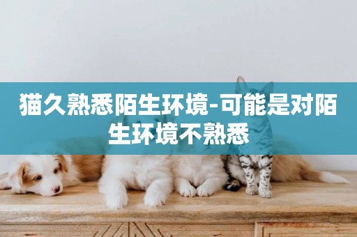 貓久熟悉陌生環境-可能是對陌生環境不熟悉
