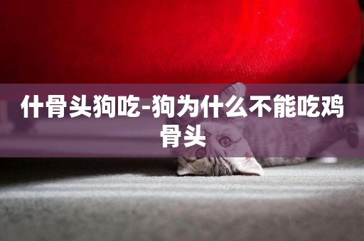 什骨頭狗吃-狗為什么不能吃雞骨頭