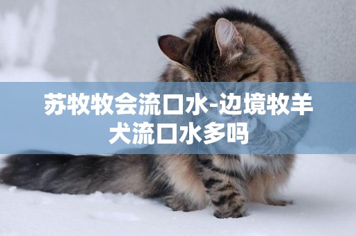 蘇牧牧會流口水-邊境牧羊犬流口水多嗎