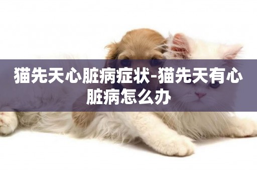 貓先天心臟病癥狀-貓先天有心臟病怎么辦