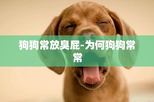 狗狗常放臭屁-為何狗狗常常