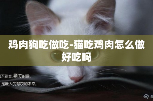 雞肉狗吃做吃-貓吃雞肉怎么做好吃嗎