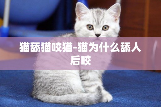 貓舔貓咬貓-貓為什么舔人后咬