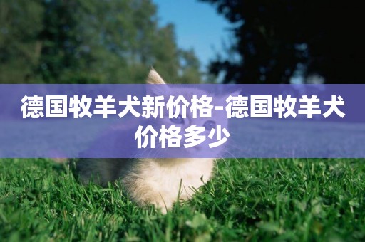 德國牧羊犬新價格-德國牧羊犬價格多少