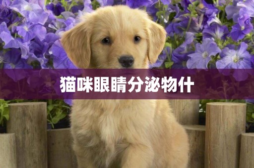 貓咪眼睛分泌物什