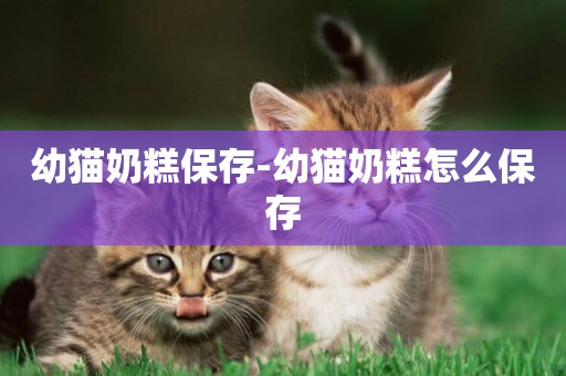 幼貓奶糕保存-幼貓奶糕怎么保存