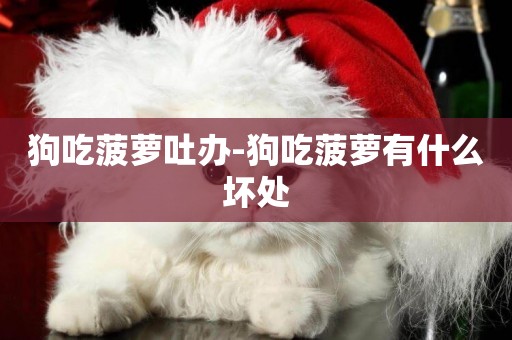 狗吃菠蘿吐辦-狗吃菠蘿有什么壞處
