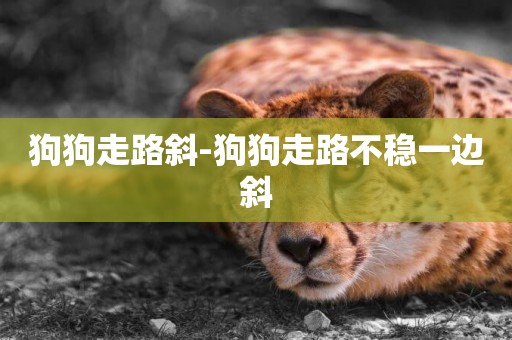 狗狗走路斜-狗狗走路不穩一邊斜