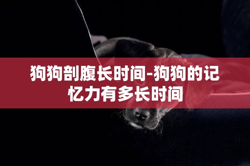 狗狗剖腹長時間-狗狗的記憶力有多長時間