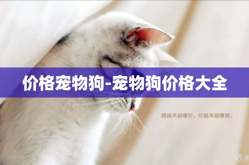 價格寵物狗-寵物狗價格大全