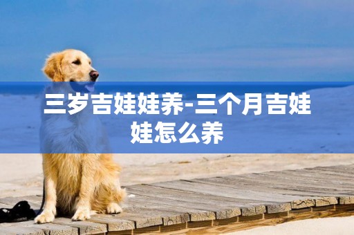 三歲吉娃娃養-三個月吉娃娃怎么養