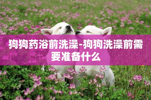 狗狗藥浴前洗澡-狗狗洗澡前需要準備什么