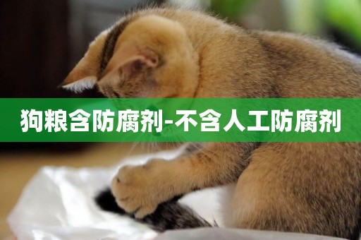 狗糧含防腐劑-不含人工防腐劑