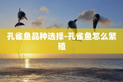 孔雀魚品種選擇-孔雀魚怎么繁殖