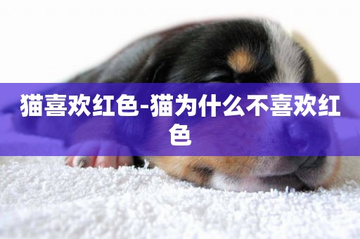 貓喜歡紅色-貓為什么不喜歡紅色