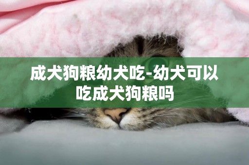 成犬狗糧幼犬吃-幼犬可以吃成犬狗糧嗎