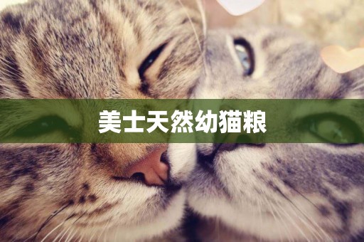 美士天然幼貓糧