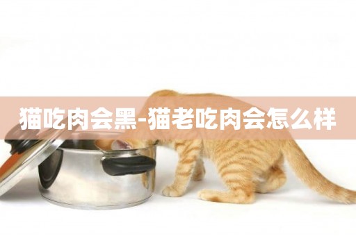 貓吃肉會黑-貓老吃肉會怎么樣