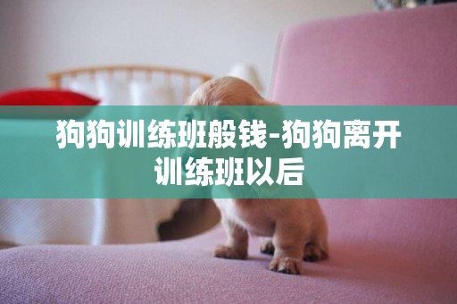 狗狗訓練班般錢-狗狗離開訓練班以后