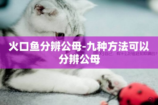 火口魚分辨公母-九種方法可以分辨公母