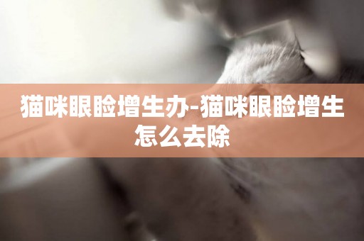 貓咪眼瞼增生辦-貓咪眼瞼增生怎么去除