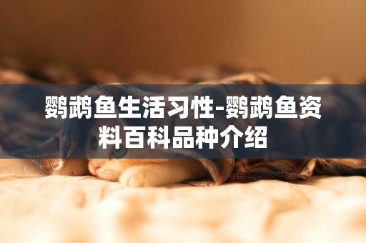鸚鵡魚生活習性-鸚鵡魚資料百科品種介紹
