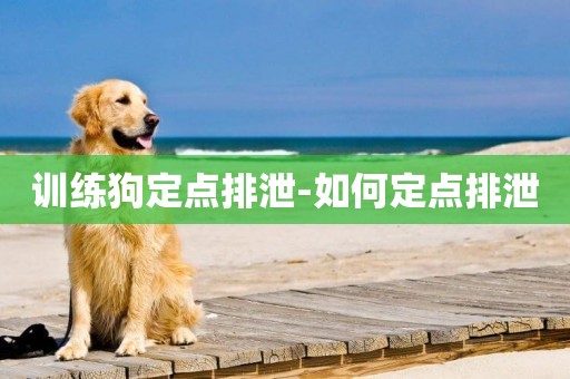 訓練狗定點排泄-如何定點排泄