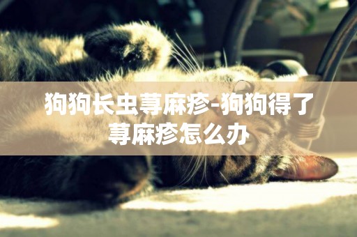 狗狗長蟲蕁麻疹-狗狗得了蕁麻疹怎么辦
